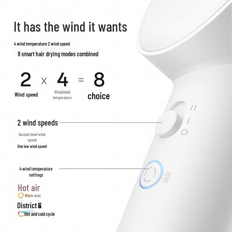 FLYCO High-Speed Ionic Hair Dryer FH6370