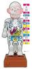 Megahouse Super Crush Human Body Model Action Game Ages 6 and up