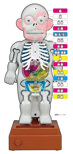 Megahouse Super Crush Human Body Model Action Game Ages 6 and up