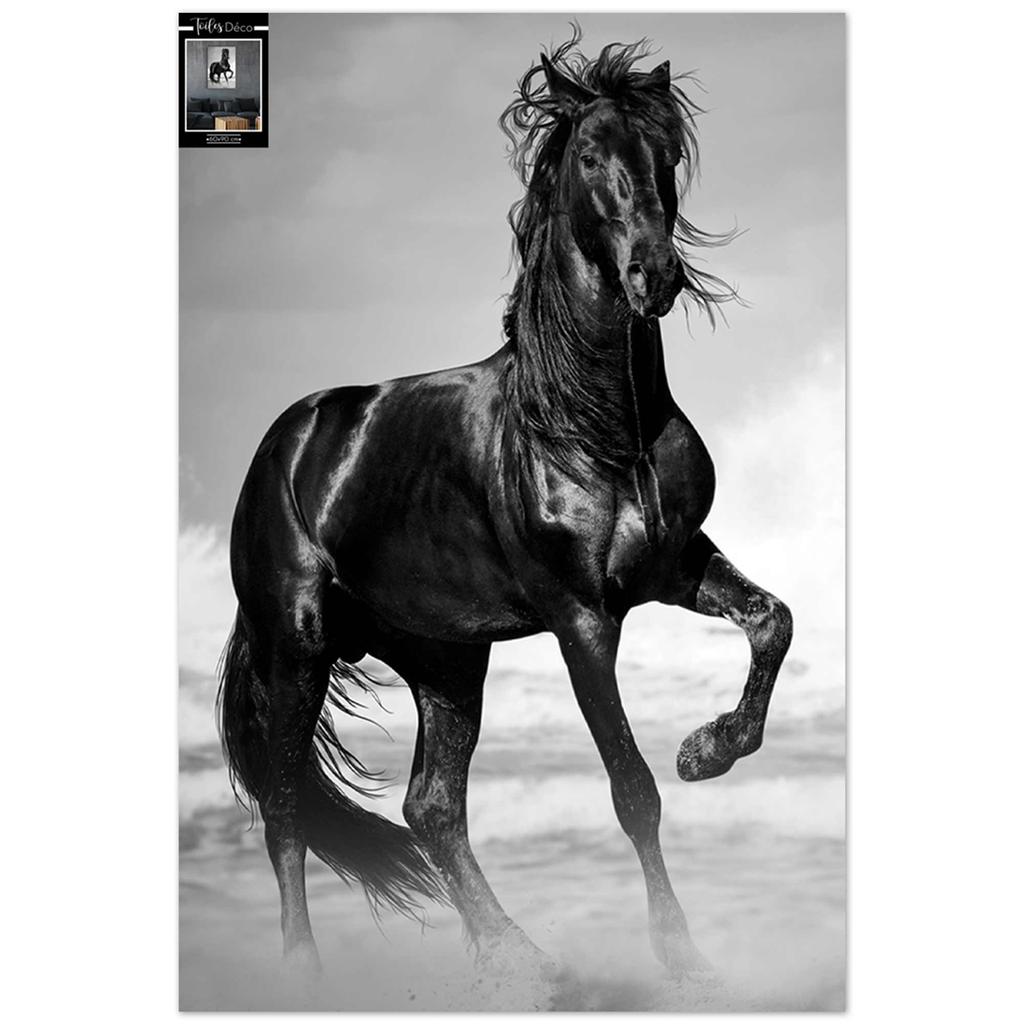 Les Trésors De Lily [A3275] - Fotoplátno 'Kůň' černé - 90x60 cm