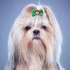 20pcs Dog Bowknot Cat Hair Bows Santa Claus Rubber Band Christmas Hat Decoration Dog Bows For Small Dog Pet Accessories