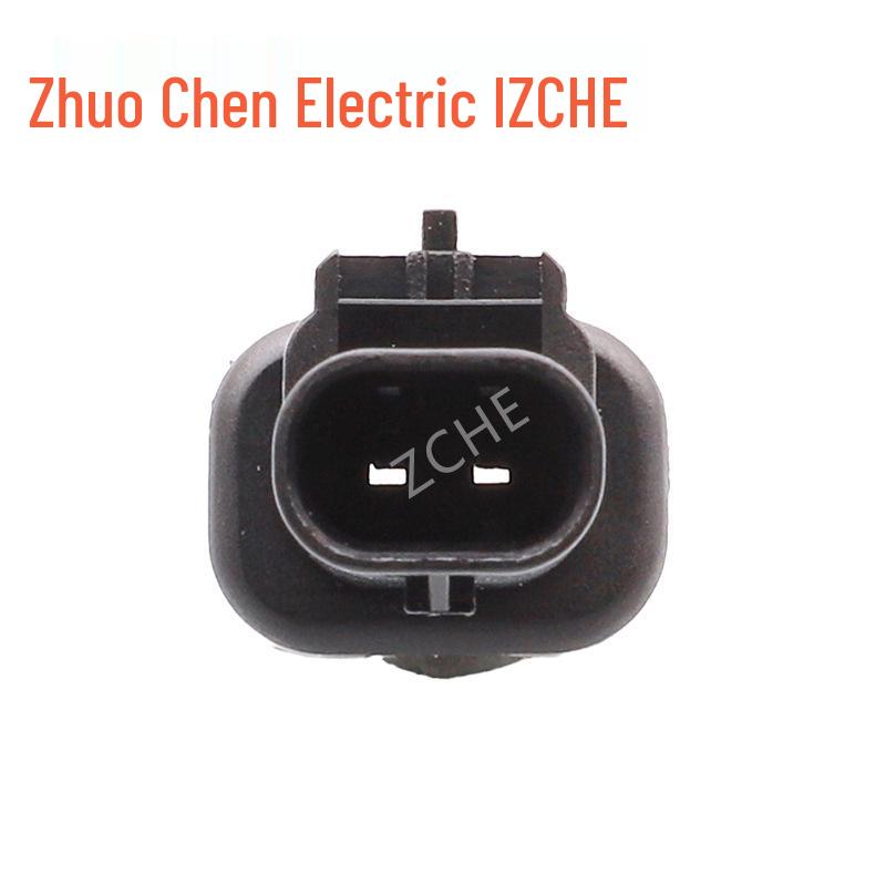 Automotive Connector 2-Core 2P Wiring Harness Plug, Model 10094249
