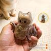 Transparent Cat Hair Storage Refrigerator Pet Fur Keepsake Capsule Diy Souvenirs Cat Whiskers Collector Fridge Magnet