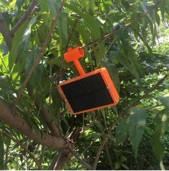 Solar-Powered Bird Repellent: Reflective Pinwheel with Smart Voice and Anti-Bird Spikes for Outdoor Use