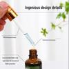 Wormwood Essential Moxibustion Oil for Scraping and Body Massage In Beauty Salons