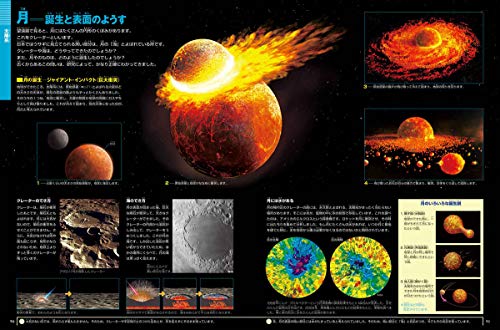 Shogakukan 's NEO Encyclopedia [New Edition] Space (with DVD)