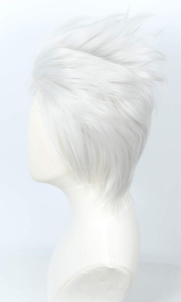 Linfairy Cosplay Wig, Heat Resistant, Costume Accessory, L55, Silver