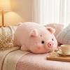 Plush Toys, Cute And Perfect Birthday Gifts For Friends And Classmates, Graduation Gifts