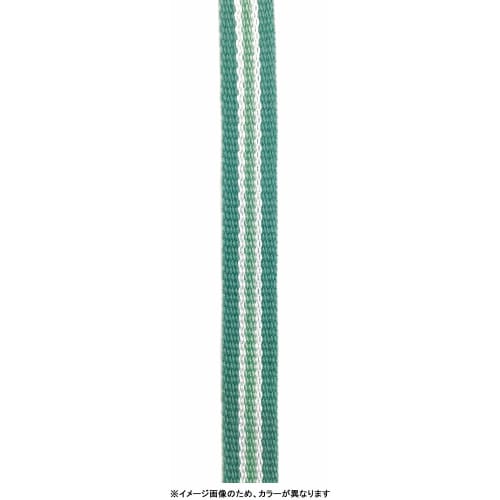 The-peacock Thermos Industry (The-peacock) Peacock Children's Water Bottle, 0.45L, Insulated, Hot & Cold, Vacuum Insulated, Cup-Style Drinking, Handle