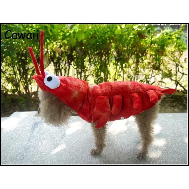 Pet Clothes Halloween Lobster Transformation Cats and Dogs Costumes Teddy Corgi Autumn and Winter New Dog Costumes Wholesale