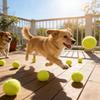 6pcs Small Dog Tennis Play & Training Pet Toys Dog Toy Ball Bite-Resistant Grinding Teeth High Elasticity Unbreakable Pet Ball