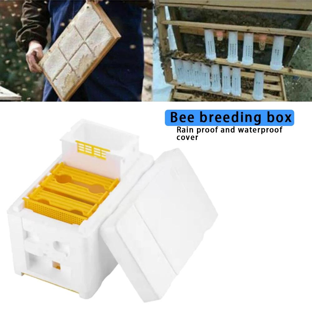 Beehive Beekeeping Box Tools For Beekeeper Supplies Bee Hive Frame Holder Equipment Kit Beehive Pollination King Bees Hive Box