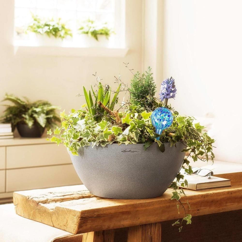 6pcs Plant Watering Globes - Small Glass Self Watering Bulbs Up To 5 Days of Irrigation - for Indoor & Outdoor Plants