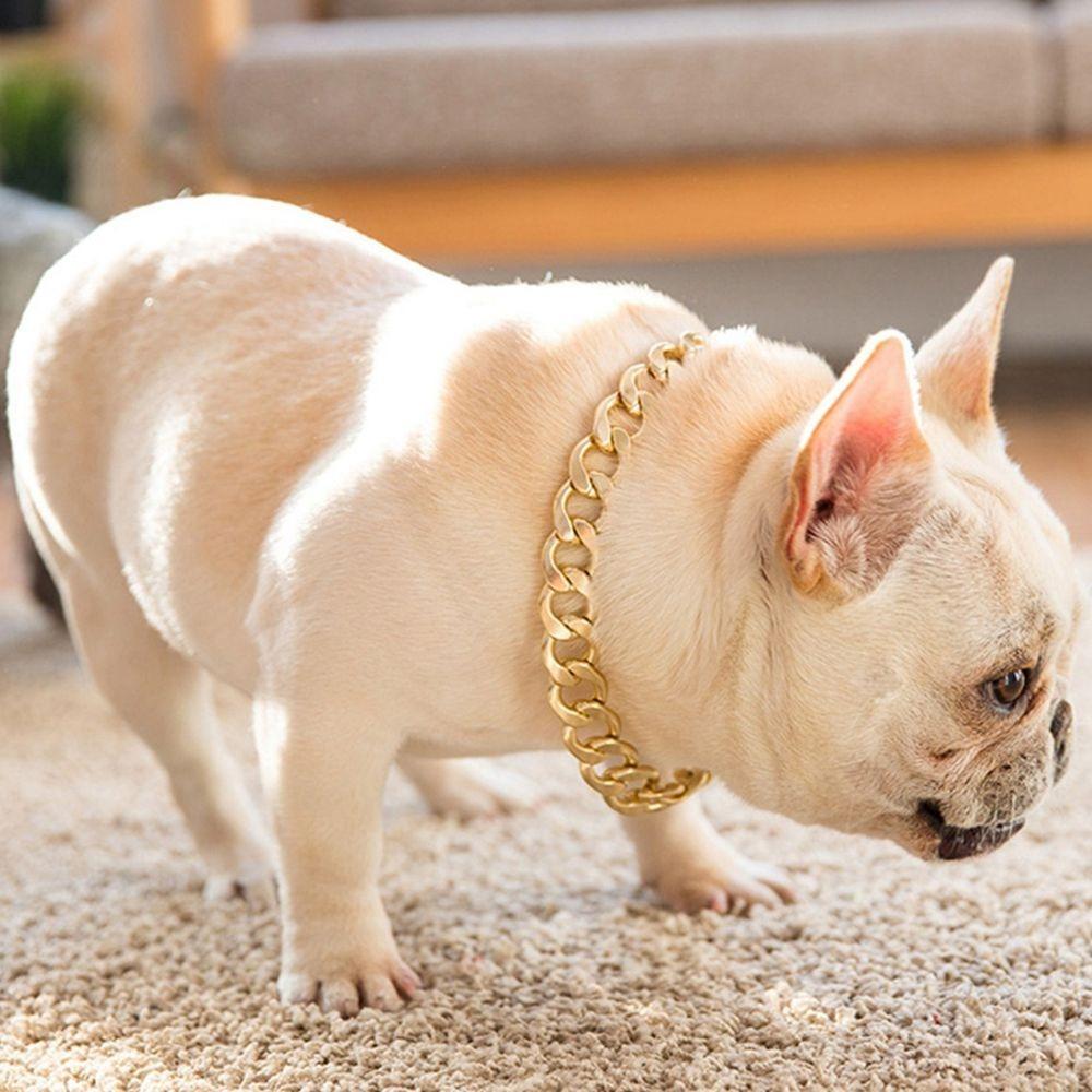 No Discoloration In Electroplating Pet Necklace Fashion Dog Accessories Cat Collar Pet Jewelry Necklace Dog Chain