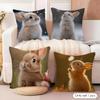 Cute Rabbit Cushion Cover Natural Linen Organic Fabric DoubleSided Printing Couch Pillow Covers Home Decor