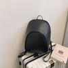 Schoolbag Texture Simple Spring New Bag Fashion Leisure Personalized Backpack 1011 Niche Design Women's Backpack
