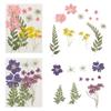 Jewelry Making Photo Props Resin Filler Beauty Decal Dried Flowers Resin Mold Filling Flower