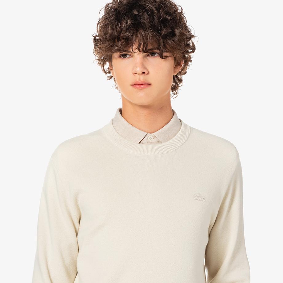 Lacoste Men's Basic Crew Neck Pullover AH596E-55NXFJ