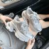 Platform White Shoes Women's New Autumn and Winter Height Increase Casual Sports Shoes Versatile Lightweight Silver Women