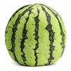 [dokidoki] Watermelon Fruit Cushion Hugging Pillow Fruit Plush Toy Funny Goods Event Party Goods Gift Cute Moe Instagram Watermelon 4760