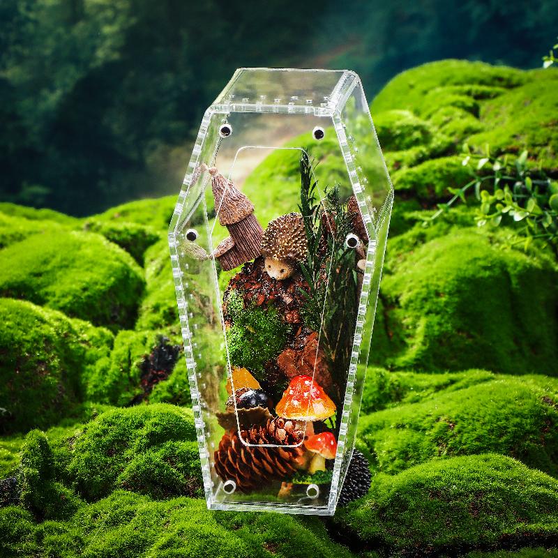 Acrylic Transparent Reptile Enclosure Insect Spider Lizard Feeding Cage Reptile Breeding Box Ventilation Arboreal Enclosure Case