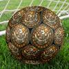 Dinosaur Fossil Glass Round Football Size 5 Adult Ball Suitable for Training Matches and Outdoor Team.