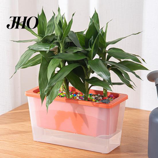 Indoor Garden Pot Self Watering Planter Plastic Flowerpot with Reservoir Easy Refill Plant Wick Ropes for Succulents Scallions Balcony Windowsill