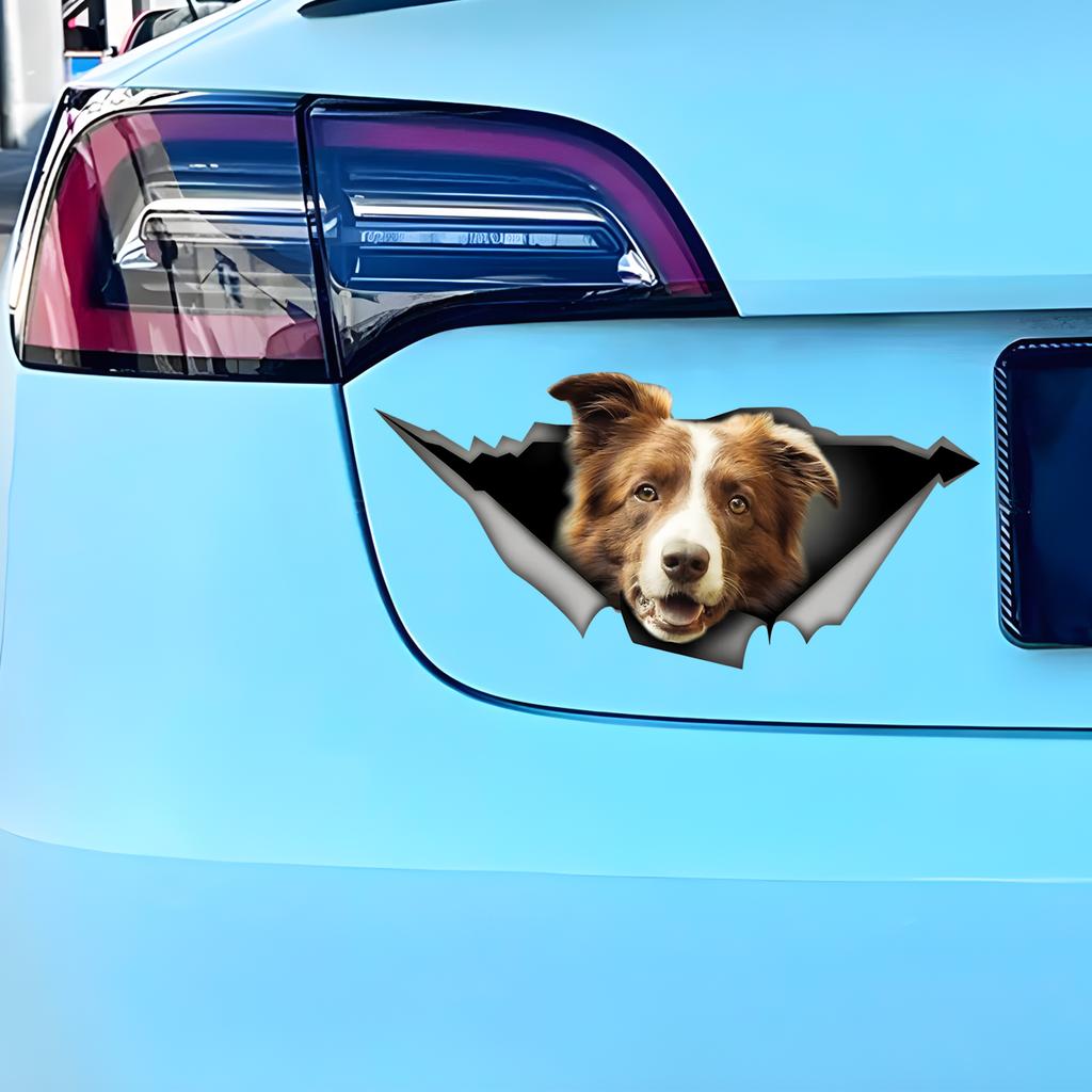 Brown and White Border Collie Car Stickers, Waterproof Pvc Animal Decals With 3D Effect, Block Scratches and Increase Fun Auto Parts
