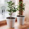 Plant Pot Grid Cover Flower Pot Grid Cover Adjustable Gardening Planter Protection Guard For Indoor Outdoor Balcony Patio Garden