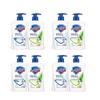 Safeguard Antibacterial Hand Wash Twin Pack