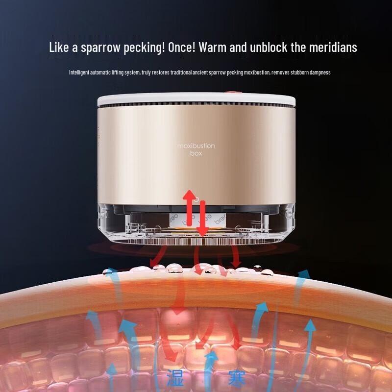 Breo A2pro Portable Electronic Moxibustion Device CN plug (adapter included)