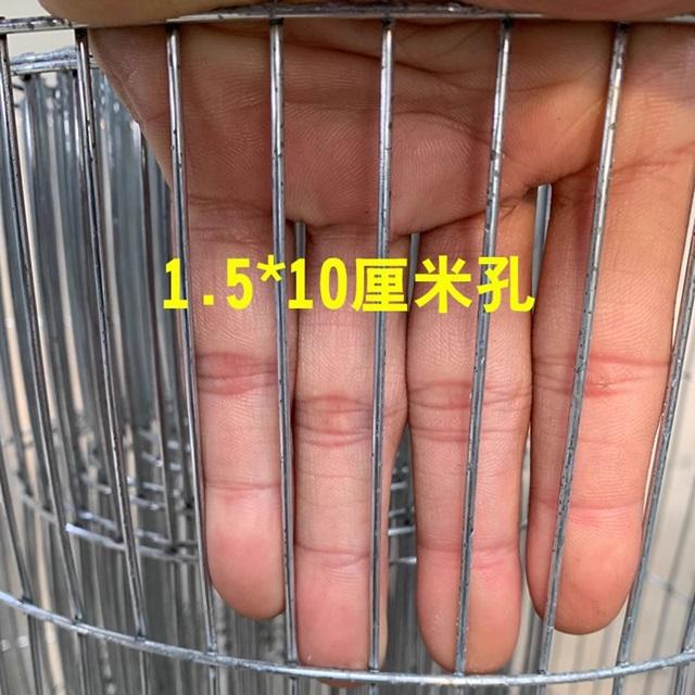 Steel Wire Long Hole Galvanized Welded Iron Wire Mesh Used for Household Breeding Bird Pigeon Rabbit Parrot Quail Chicken Cage