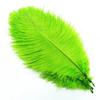 10Pcs Ostrich Feathers Decorative Vase Pluma Wedding Table Centerpieces Carnival Accessories DIY Creative Leisure Craft Supplies