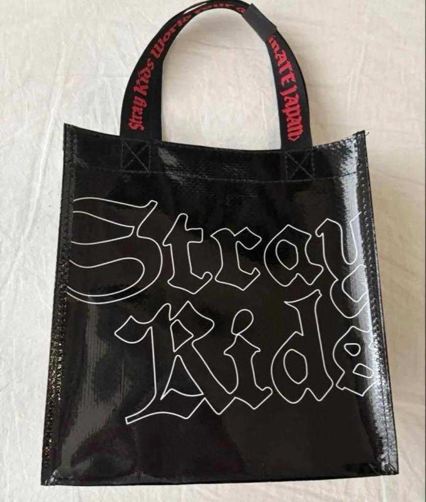 [USED] StrayKids AppGrade Bonus DominATE 2024.2025