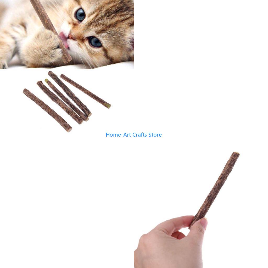 Y3NA Natural Silvervine Sticks for Cats, Catnip Sticks Matatabi Chew Sticks Teeth