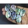258Cts.Abalone Shell Oval Cabochon Loose Natural Gemstone 07Pcs Lot 28-32MM C-1727