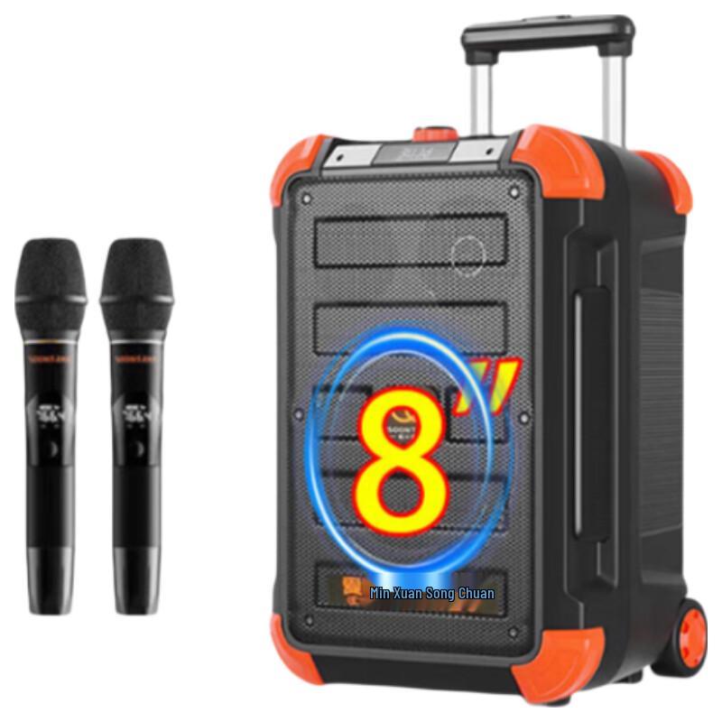 Songchuan SS6 Outdoor Live Sound System with Wireless Mics CN plug (adapter included) (CN version)