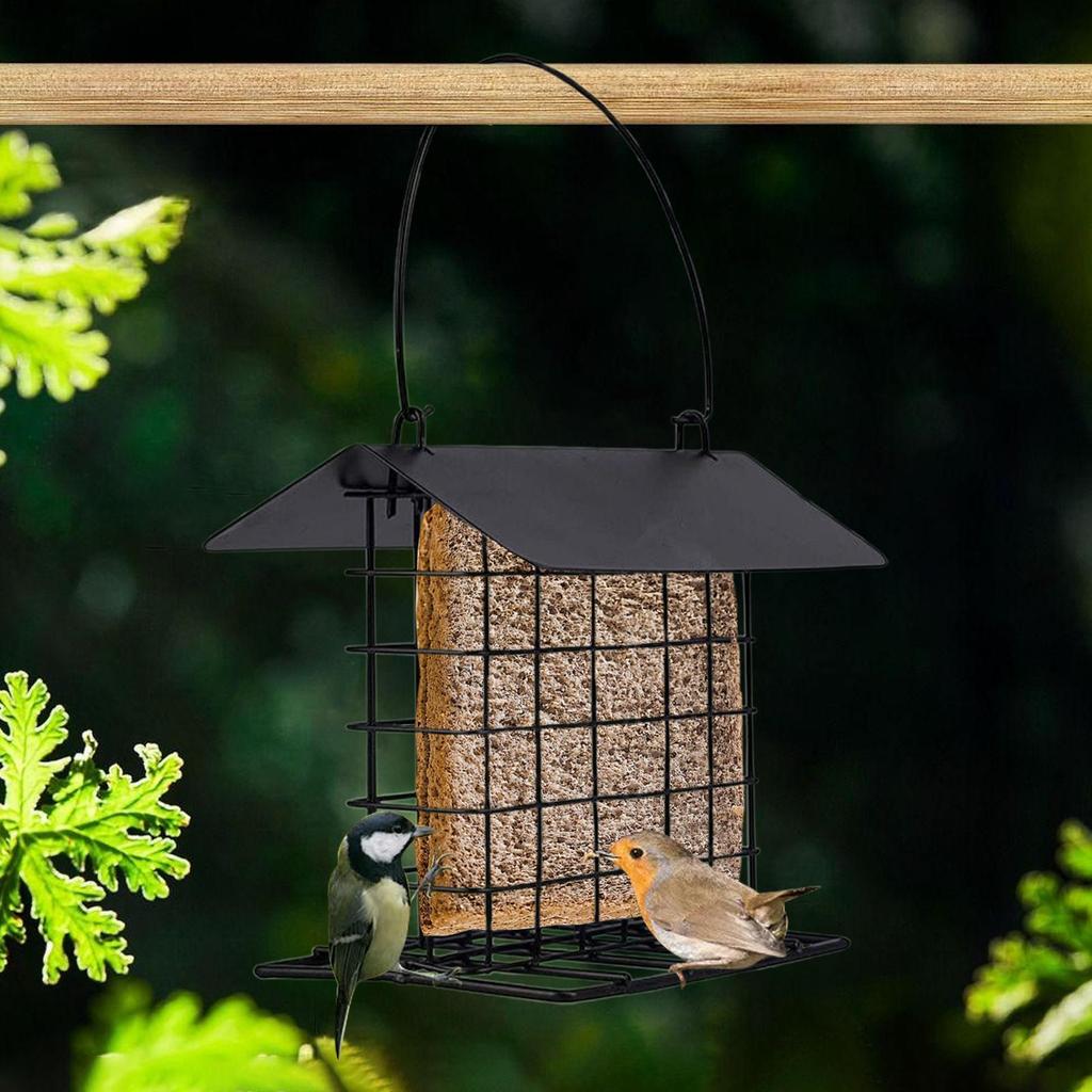 Suet Feeder Reusable Squirrel Proof Feeding Station Suet Cakes Cage Bird Feeder for Wild Hummingbirds Woodpeckers All Breeds