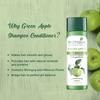Biotique Green Apple Shine & Gloss Shampoo And Conditioner 500ml For Healthy Soft Smooth Hair With Botanical Extracts