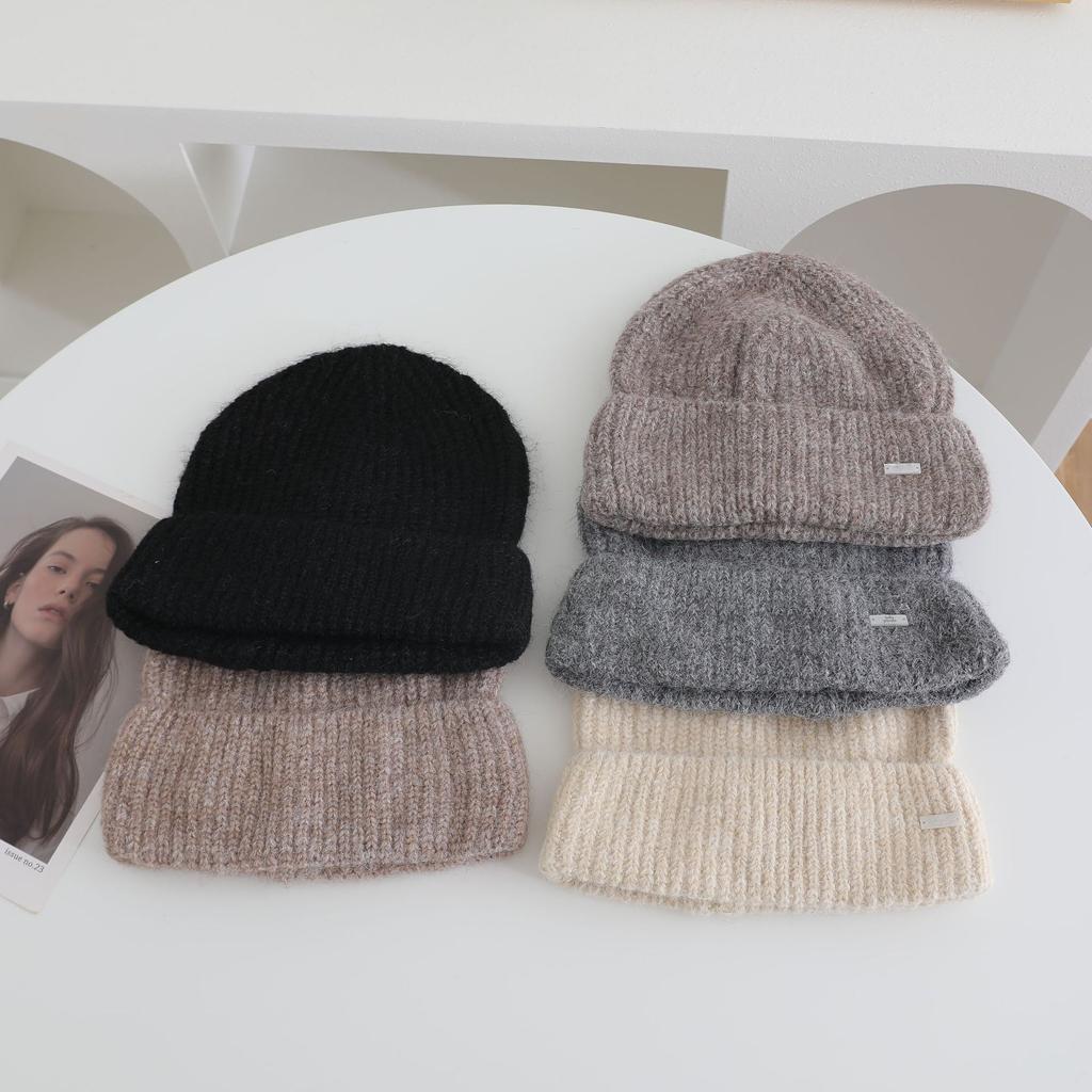 Metal Label Simple Knitted Hat for Women In Autumn and Winter New Warm and Thickened Cold Hat To Show Face and Protect Your Face