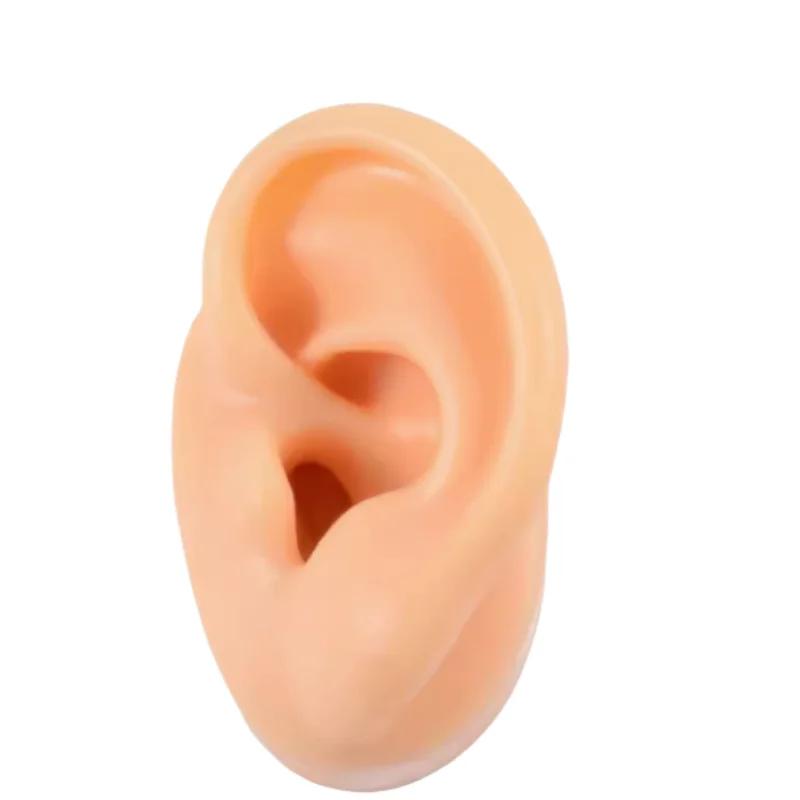 5D Silicone Simulated Artificial Ear Model Ear Stud Piercing Piercing Piercing Teaching Hearing Aid Acupuncture Practice Prop