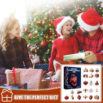 Calendário do Advento de Anatomia Yousheng 24 Dias Contagem Regressiva de Partes do Corpo Caixa de Presente com 24 Ornamentos Acrílicos Miniatura de Órgãos para Pendurar Médicos Enfermeiros