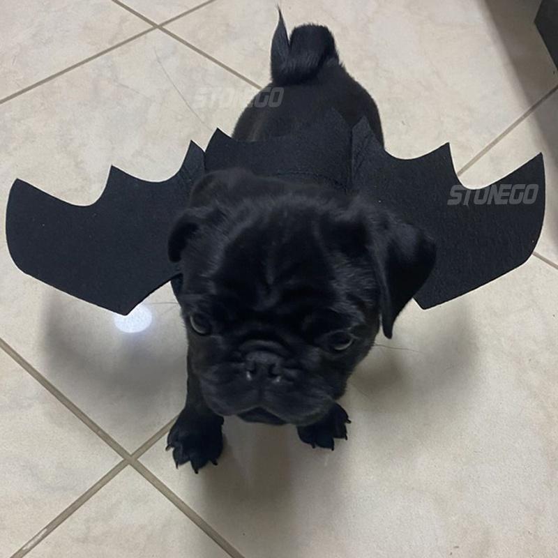 Cute Pet Collar Cat Costume Black Bat Wing Halloween Party Supplies Cosplay Clothing for Cats