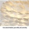Nordic Gold Adjustable Feather Table Lamp - Stylish Bedside Decoration.