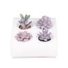 Purple Fake Succulent Potted Plant Simulation Succulent Plant Mini Fake Flower Small Bonsai Store Decoration Home Decoration