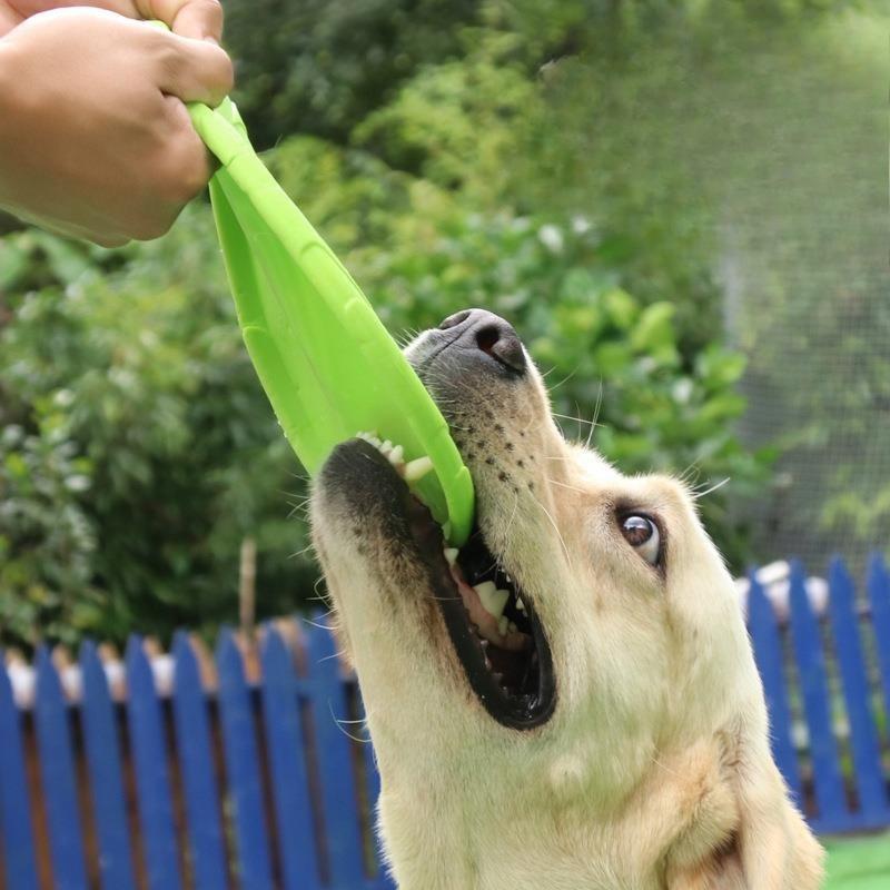 Pet Toy Dog, Frisbee Toy Dog, Silicone, Bite Resistant, Floating Water Training, Throwing Pet Dog, Large Dog