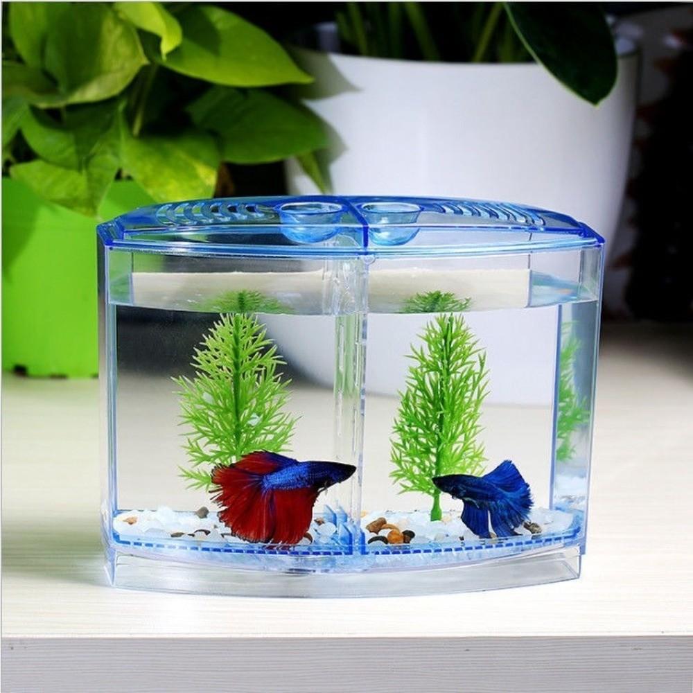 Transparent Betta Isolation Box Single/Double Grid Fish Breeder Box  Office Fish