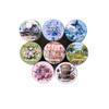 50mm*2m Romantic Life Theme Decoration PET Plant Ledger Material Flower Tape DIY Scrapbooking Hand Made Masking Tape