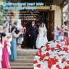 Paper Scraps Mini Heart Shape Plastic Material Confetti Good Luster Scramble Assortment Shape Resistant for Party Decoration
