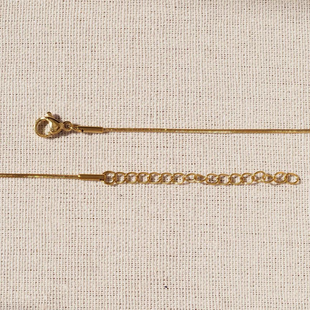 Stainless Steel Gold Snake Bone Chain Necklace with Vacuum Color Retention Electroplating for Women